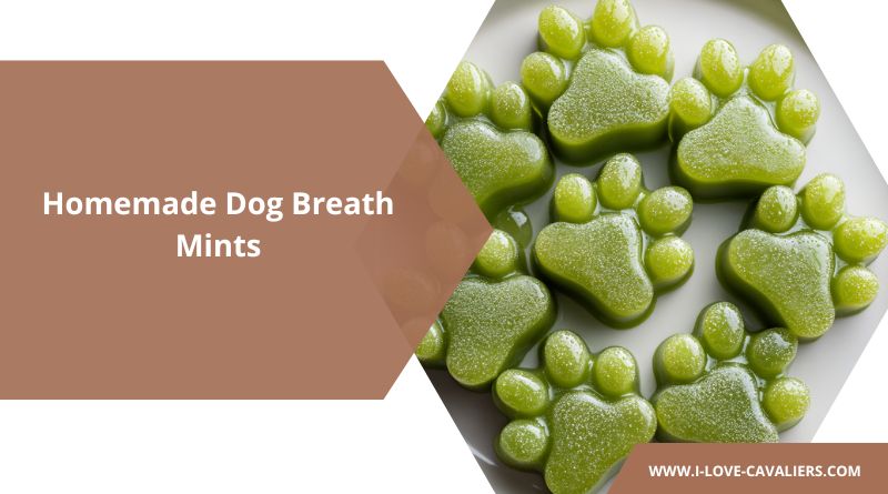 DIY Dog Breath Mints