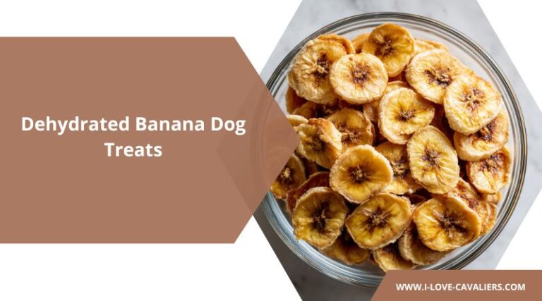 Curated visual reference: Homemade Dried Banana Dog Treats Reference: Dehydrated Banana Dog Treats Easy Homemade Fruity Chips Your Pup