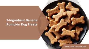 Homemade 3-Ingredient Banana Pumpkin Baked Dog Treats