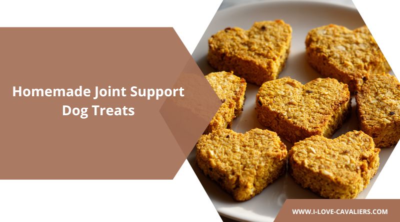 Homemade Joint Support Dog Treats