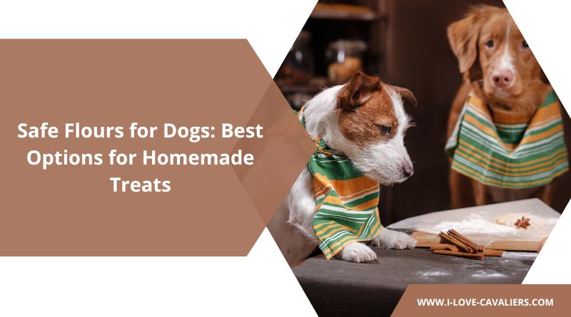 Safe Flours for Dogs