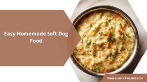Soft Dog Food