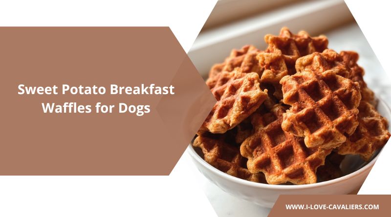 Sweet Potato Breakfast Waffles for Dogs