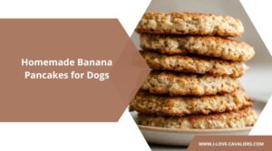 Homemade Banana Pancakes for Dogs