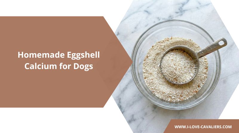 Homemade Eggshell Calcium for Dogs