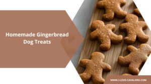 Homemade Gingerbread Dog Treats