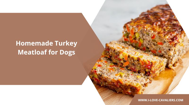 Homemade Turkey Meatloaf for Dogs