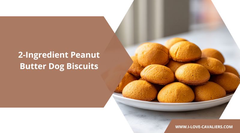 2-Ingredient Peanut Butter Dog Biscuits
