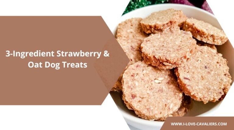 Photo inspiration: Picture Idea: 3 Ingredient Strawberry Oat Dog Treats The Sweet Simple Reward