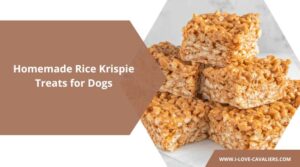 Homemade Rice Krispie Treats for Dogs