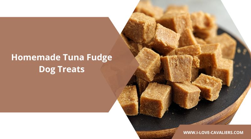 Homemade Tuna Fudge Dog Treats