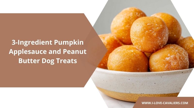 3-Ingredient Pumpkin Applesauce and Peanut Butter Dog Treats