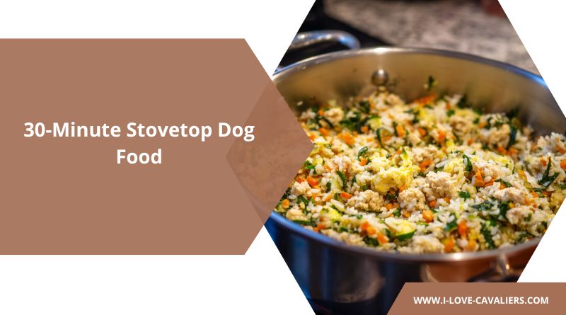 30-Minute Stovetop Dog Food