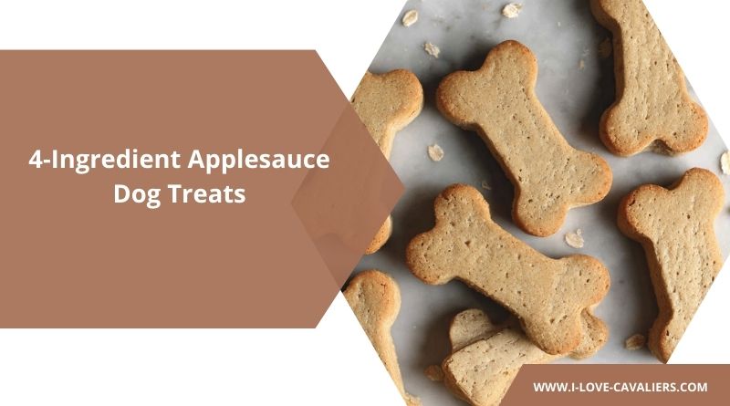 4-Ingredient Applesauce Dog Treats