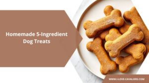 Homemade 5-Ingredient Dog Cookies