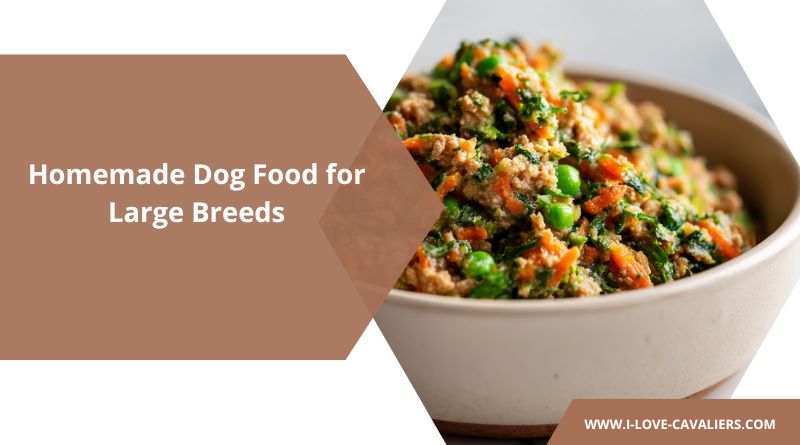 Homemade Dog Food for Large Breeds