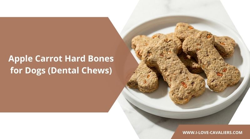 Apple Carrot Hard Bones for Dogs