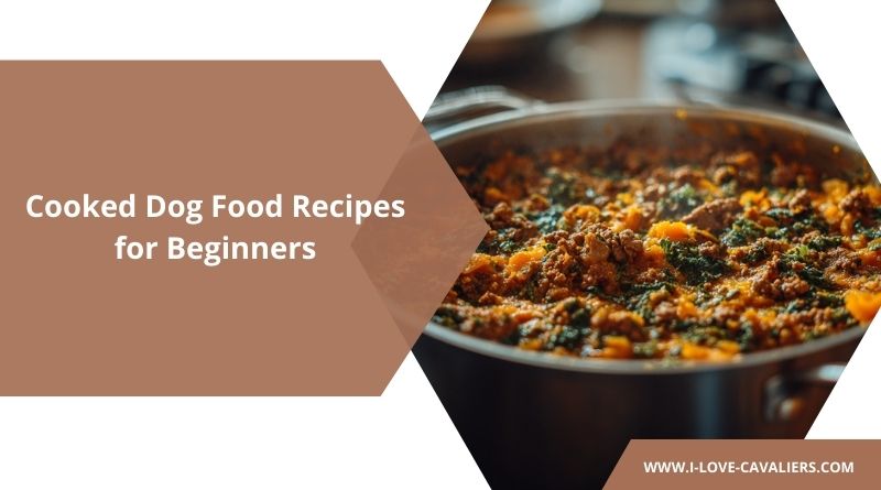 Cooked Dog Food Recipes for Beginners