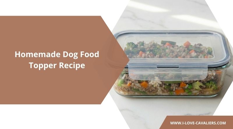 Homemade Dog Food Topper Recipe