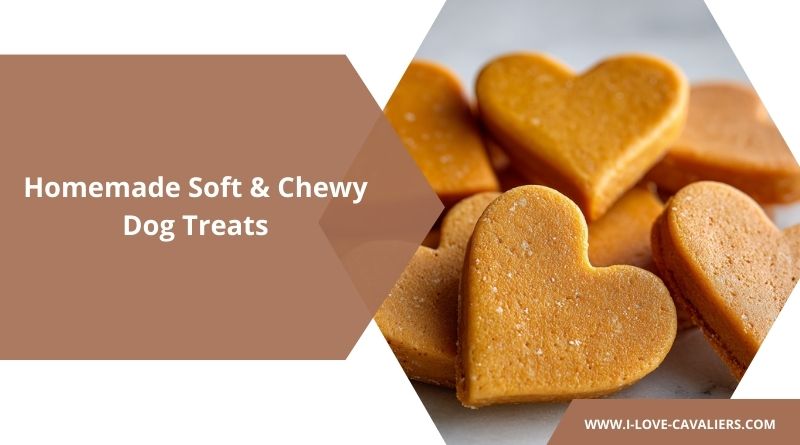 Homemade Soft & Chewy Dog Treats