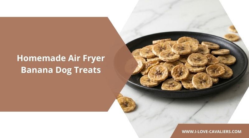 Homemade Air Fryer Banana Dog Treats