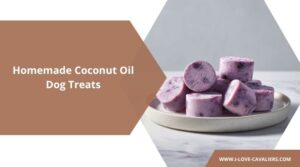 Homemade Coconut Oil Dog Treats