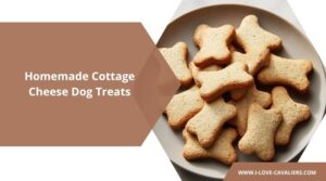 Homemade Cottage Cheese Dog Treats