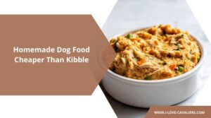 Homemade Dog Food Cheaper Than Kibble