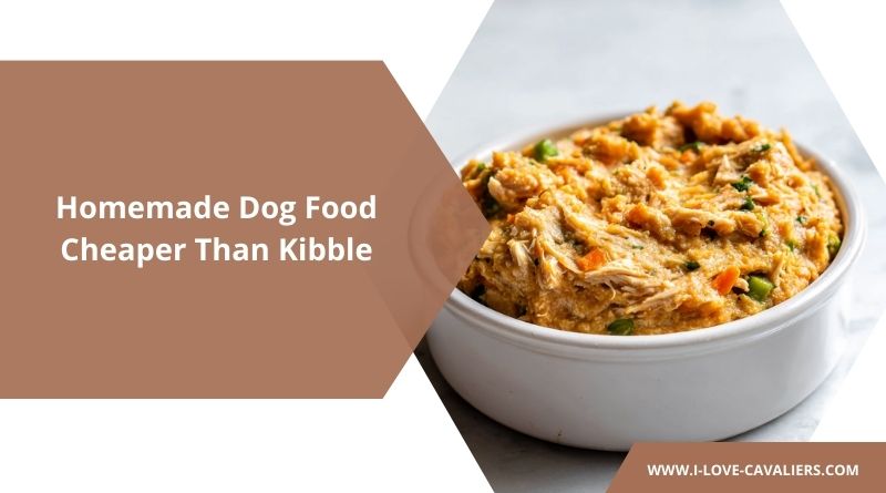 Homemade Dog Food Cheaper Than Kibble