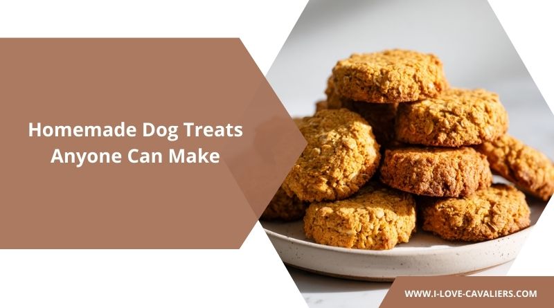 Homemade Dog Treats Anyone Can Make