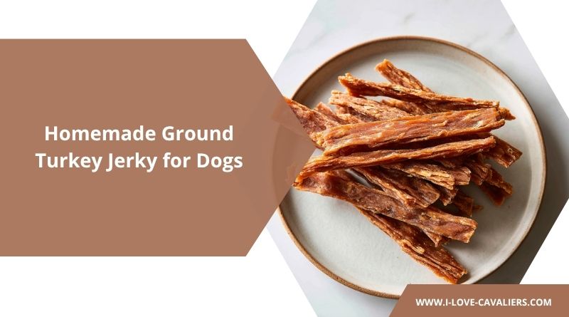 Homemade Ground Turkey Jerky for Dogs