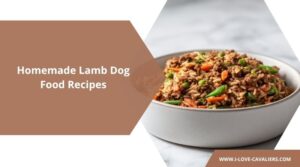 Homemade Lamb Dog Food Recipes
