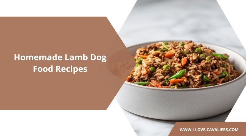 Homemade Lamb Dog Food Recipes