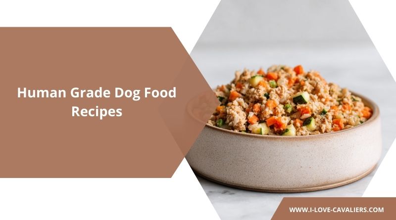 Human Grade Dog Food Recipes