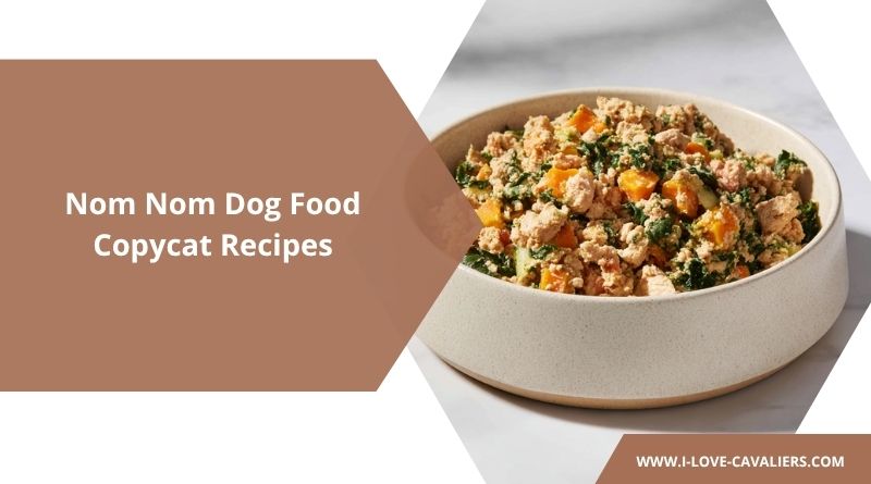 Nom Nom Dog Food Copycat Recipes