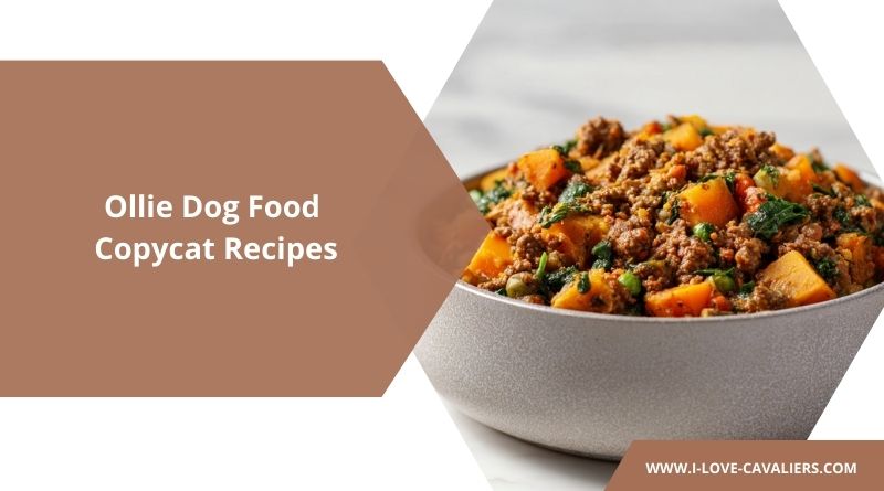 Ollie Dog Food Copycat Recipes