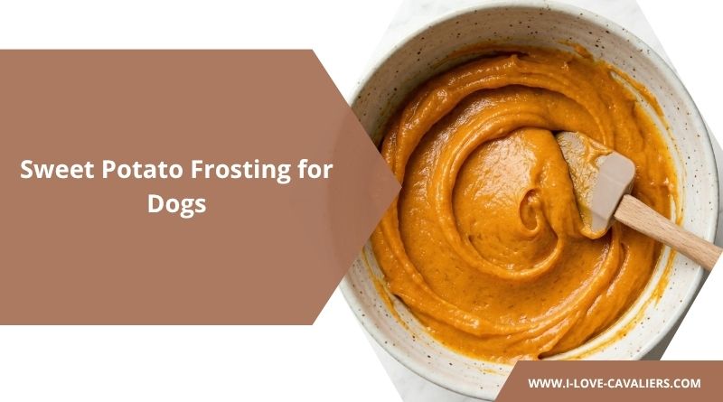 Sweet Potato Frosting for Dogs