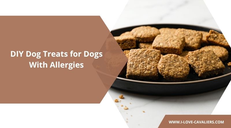 DIY Dog Treats for Dogs With Allergies