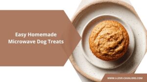 Easy Homemade Microwave Dog Treats