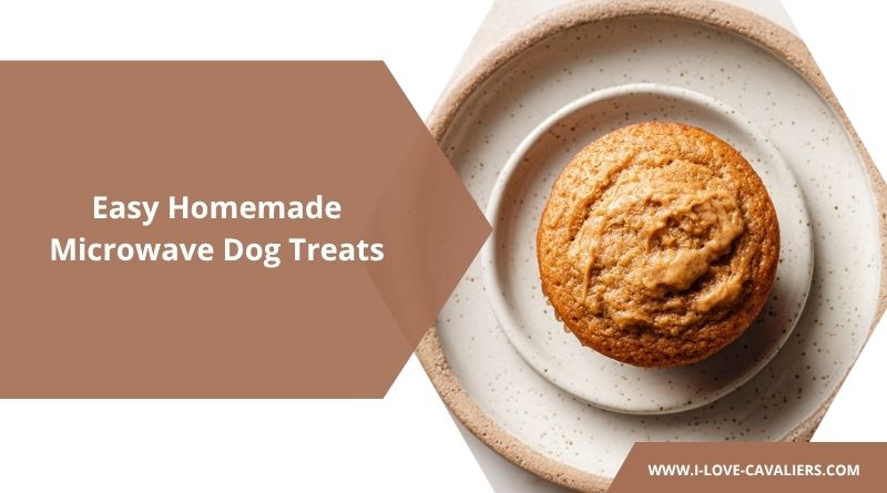 Easy Homemade Microwave Dog Treats