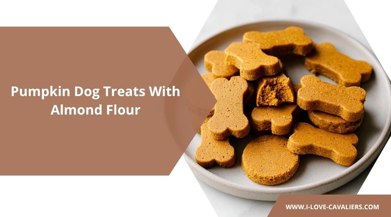 Pumpkin Dog Treats With Almond Flour