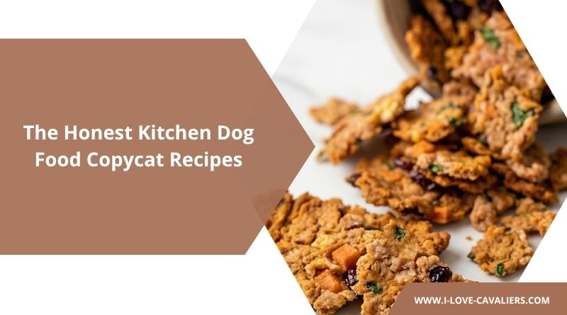 The Honest Kitchen Dog Food Copycat Recipes