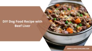 DIY Dog Food Recipe with Beef Liver