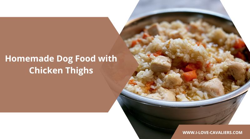 Homemade Dog Food with Chicken Thighs