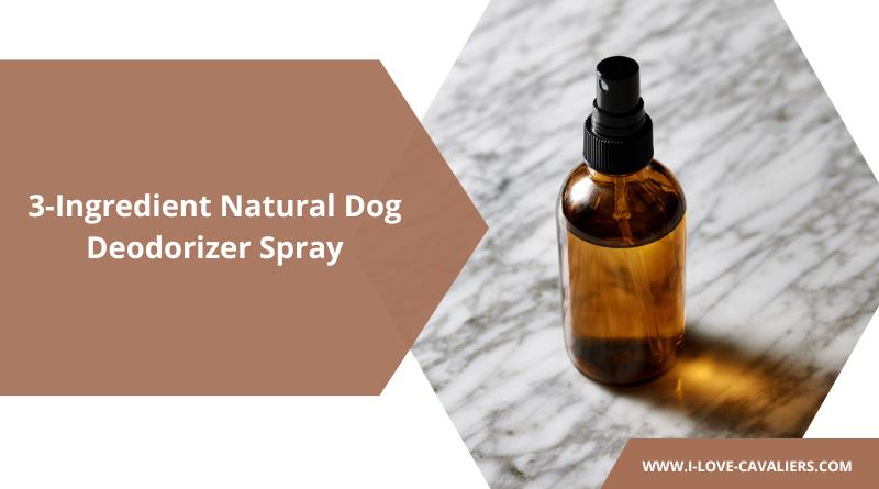 3-Ingredient Natural Dog Deodorizer Spray