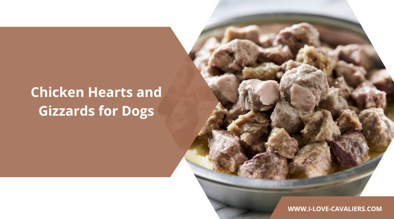 Chicken Hearts and Gizzards Recipe for Dogs
