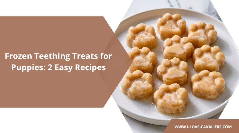 Frozen Teething Treats for Puppies 2 Easy Recipes