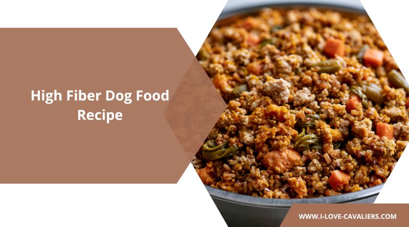 High Fiber Dog Food Recipe