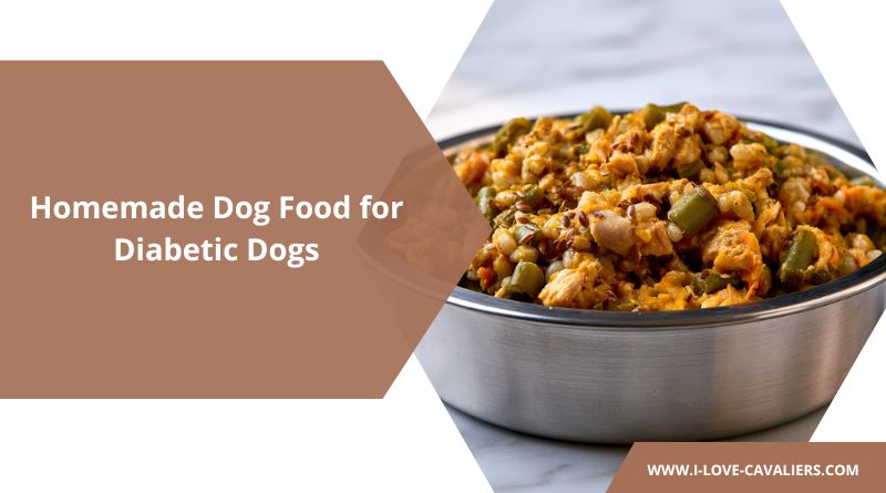 Homemade Dog Food for Diabetic Dogs