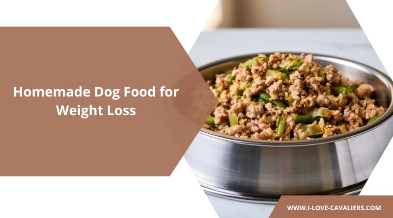 Homemade Dog Food for Weight Loss